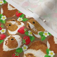 The Sweetest Guinea Pigs with Summer Strawberries on Earth Brown Extra Small
