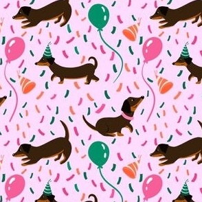 Dachshund birthday party with confetti pink