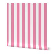 Merry Bright Coordinate Rose and White Vertical 2 inch Cabana Stripe