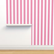 Merry Bright Coordinate Rose and White Vertical 2 inch Cabana Stripe