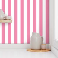 Merry Bright Coordinate Rose and White Vertical 2 inch Cabana Stripe