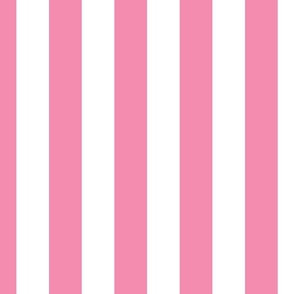 Merry Bright Coordinate Rose and White Vertical 2 inch Cabana Stripe