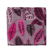 jumbo monochromatic pink croton leaves