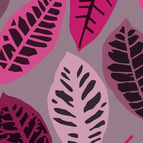 jumbo monochromatic pink croton leaves