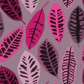 monochromatic pink croton leaves