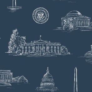 Washington DC Toile Design for Wallpaper & Fabric - Ivory on Navy Blue