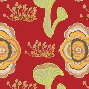 Turkey Tails, Boletus and Psychedelic Mushrooms on Crimson
