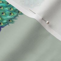 Peacock Bird in Aqua Teal and Blue on Sage Green