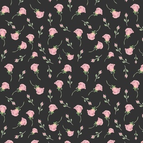 pink-roses-black-background