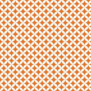 Shippo Circles - White on Orange