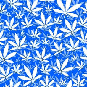 Bigger Scale Marijuana Cannabis Leaves White on Cobalt Blue