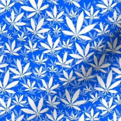 Smaller Scale Marijuana Cannabis Leaves White on Cobalt Blue