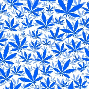 Bigger Scale Marijuana Cannabis Leaves Cobalt Blue on White