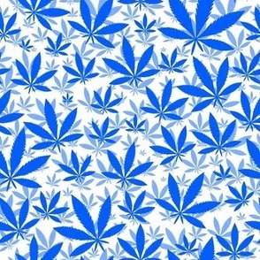 Smaller Scale Marijuana Cannabis Leaves Cobalt Blue on White