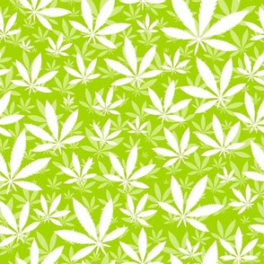 Bigger Scale Marijuana Cannabis Leaves White on Lime Green