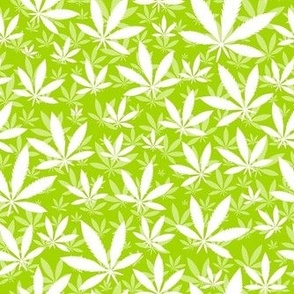 Smaller Scale Marijuana Cannabis Leaves White on Lime Green