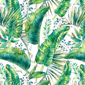 Watercolor green tropical leaves on white