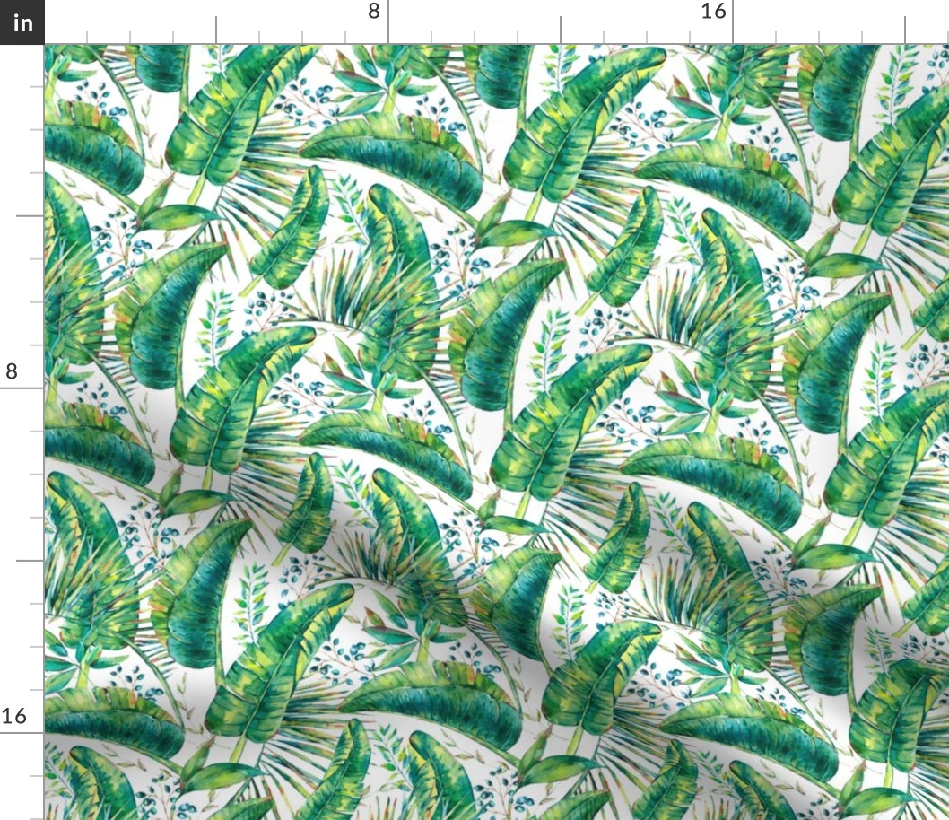 Watercolor green tropical leaves on white