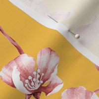 Sakura Old Rose Monochrome - Honey Regular Scale