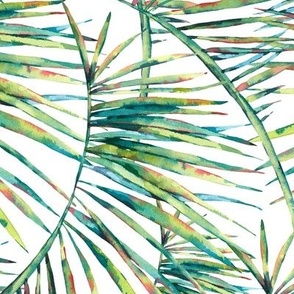 Tropical green leaves on white