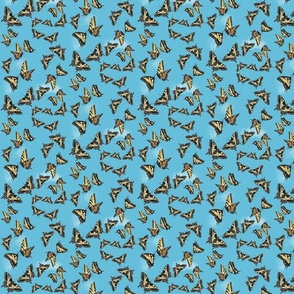 Sm Swallowtail Migration by DulciArt,LLC