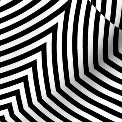 XL Black and white optical illusion