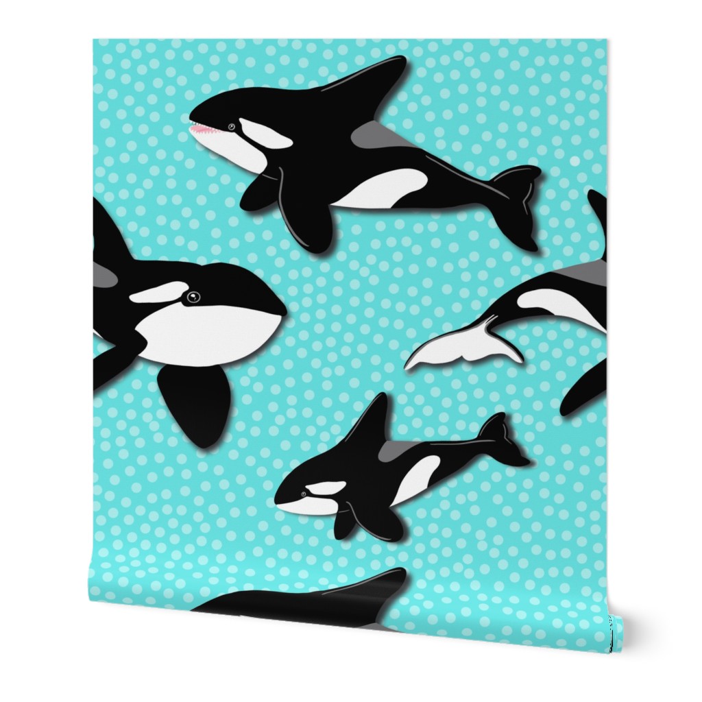 Orcas