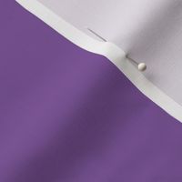 purple solid axolotl sheets pillowcase dark