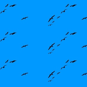Black seagulls silhouettes  on blue sky