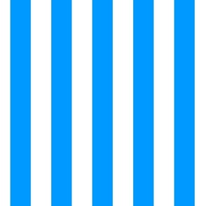 Sky block stripes blue  and white, 2 inch