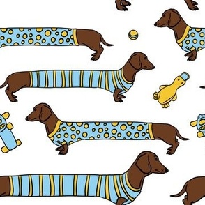dashhounds in cute t-shirts 1