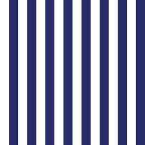 Navy Blue and White Stripes