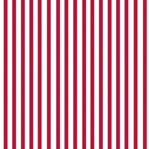 Winter-Stripe-Medium-Candy-Cane-Red