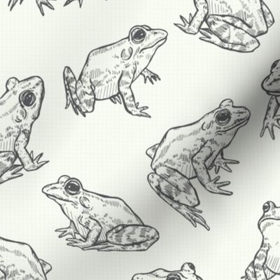Sketched Frogs Hand-Drawn in Black and Off-White