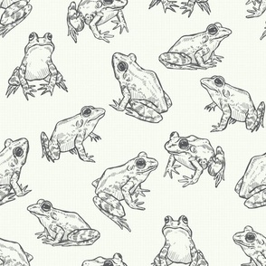 Sketched Frogs Hand-Drawn in Black and Off-White