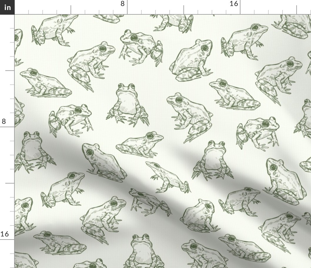Sketched Frogs Hand-Drawn in Cream and Green