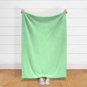 solid color green - plain coordinate for daisy flower rainbow 2