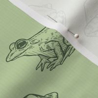 Sketched Frogs Hand-Drawn in Green
