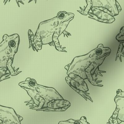 Sketched Frogs Hand-Drawn in Green