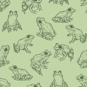 Sketched Frogs Hand-Drawn in Green