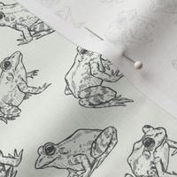 Tiny Sketched Frogs Hand-Drawn in Black and Off-White