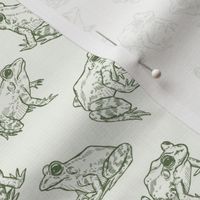 Tiny Sketched Frogs Hand-Drawn in Cream and Green