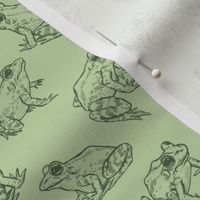 Tiny Sketched Frogs Hand-Drawn in Green