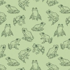 Tiny Sketched Frogs Hand-Drawn in Green