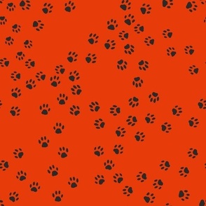 Cat tracks black on red background - intermingled cat footprints
