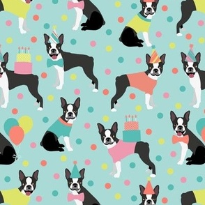 Party Boston Terrier Blue