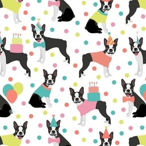 Party Boston Terrier White