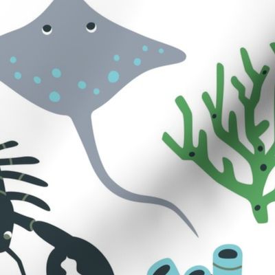 Underwater Ocean Life, Ocean Sea Creatures