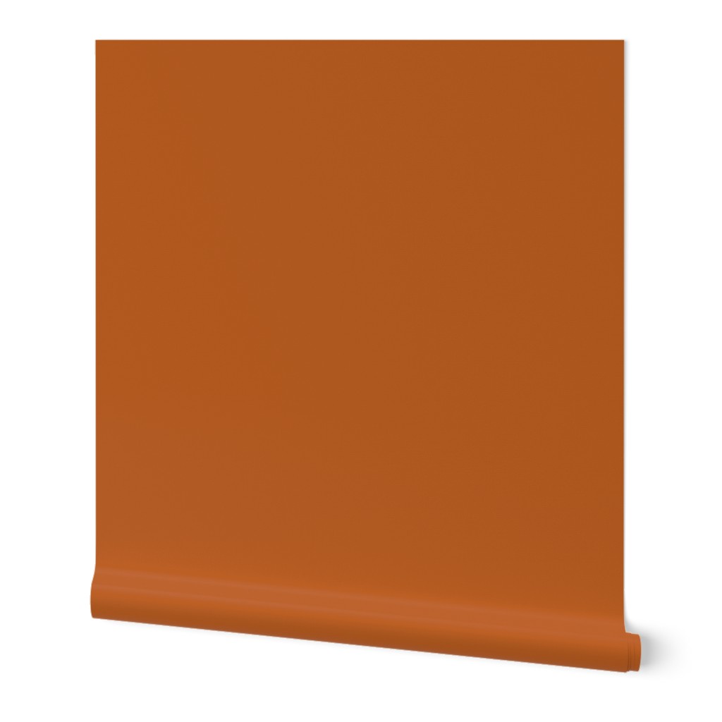 Plain Block Solid - Rust Color, Warm Neutral Earth Tone