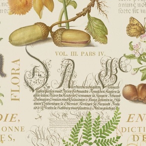 Botanical Treasures  By Joris Hoefnagel With Plants, Fruits And Calligraphy Large Scale